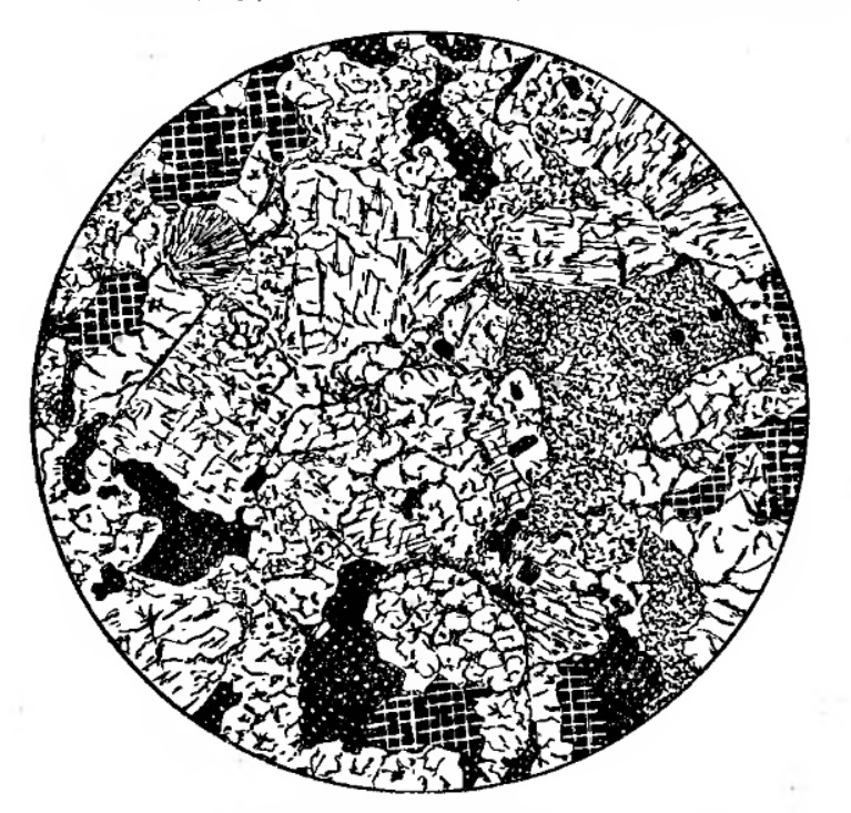 Рис. 2. Кристаллический хондрит Верхне-Чирская. d=1,5 мм